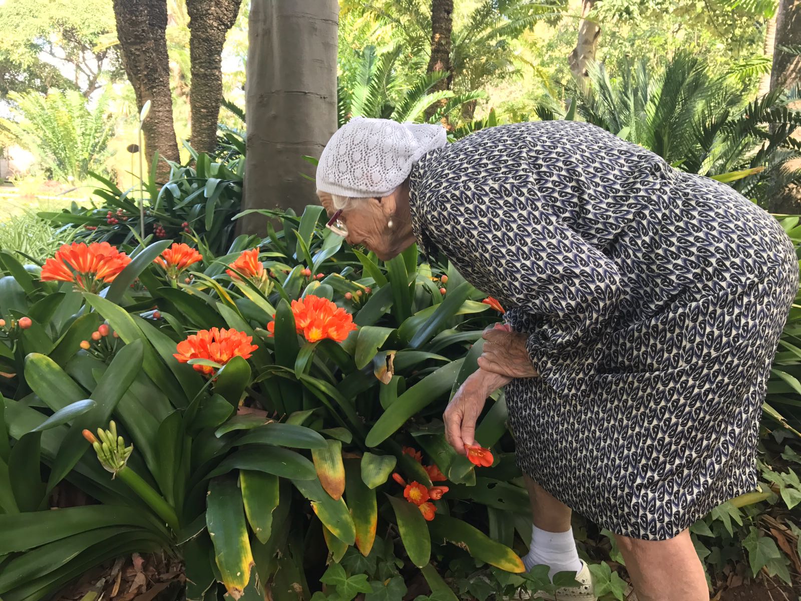 Baba Lena en el Botánico