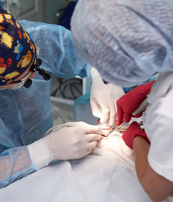 dentista en Tenerife